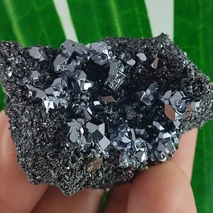 Galena with Sphalerite from Borieva mine,Madan ore field,Rhodope Mts,Smolyan Oblast,Bulgaria,Minerals, Crystals, Gemstone, Gemstone,N12