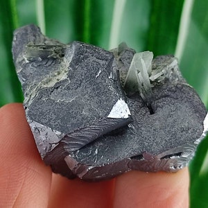 May include: A cluster of gray, metallic galena crystals with a few clear, glassy quartz crystals on top. The crystals are arranged in a natural, asymmetrical formation.