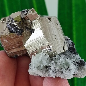 Quartz with Golden Pyrite from Borieva mine,Madan ore field,Rhodope Mts,Smolyan Oblast, Bulgaria, Minerals, Crystals,Specimens,Fools,N11