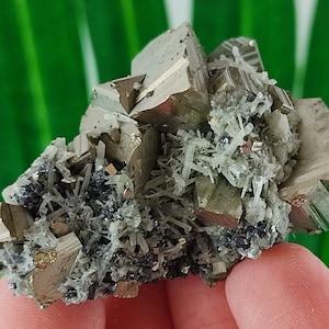 Amazing Golden Pyrite from Borieva mine,Madan ore field,Rhodope Mts,Smolyan Oblast, Bulgaria, Minerals, Crystals,Specimens,Fools Gold,N11