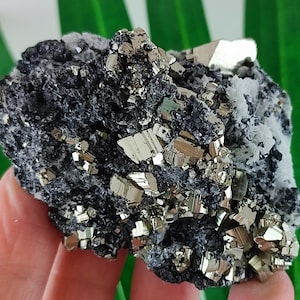 Beautiful Pyrite with Sphalerite and Quartz from Krushev dol mine,Madan ore field,Rhodope Mts,Smolyan Oblast,Bulgaria,Minerals,CrystalsN22