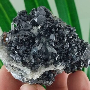 Sphalerite,Galena and Quartz from 9th September mine,Madan ore field,Rhodope Mts,Smolyan Oblast, Bulgaria,Minerals,CrystalsN35