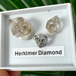 Peut inclure: Trois cristaux de diamant Herkimer transparents et facettés présentés dans une petite boîte carrée blanche. Les cristaux varient en taille et en clarté, l'un présentant des inclusions sombres. Une étiquette blanche avec le texte Herkimer Diamond est fixée.