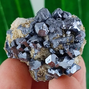 Shiny Galena from Krushev dol mine,Madan ore field,Rhodope Mts,Smolyan Oblast,Bulgaria,Minerals,Crystals,Specimens,N9