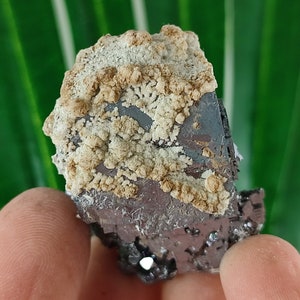 Beautiful Galena and Calcite from 9th September  mine,Madan ore field,Rhodope Mts,Smolyan Oblast,Bulgaria, Mineral,Crystal,N32