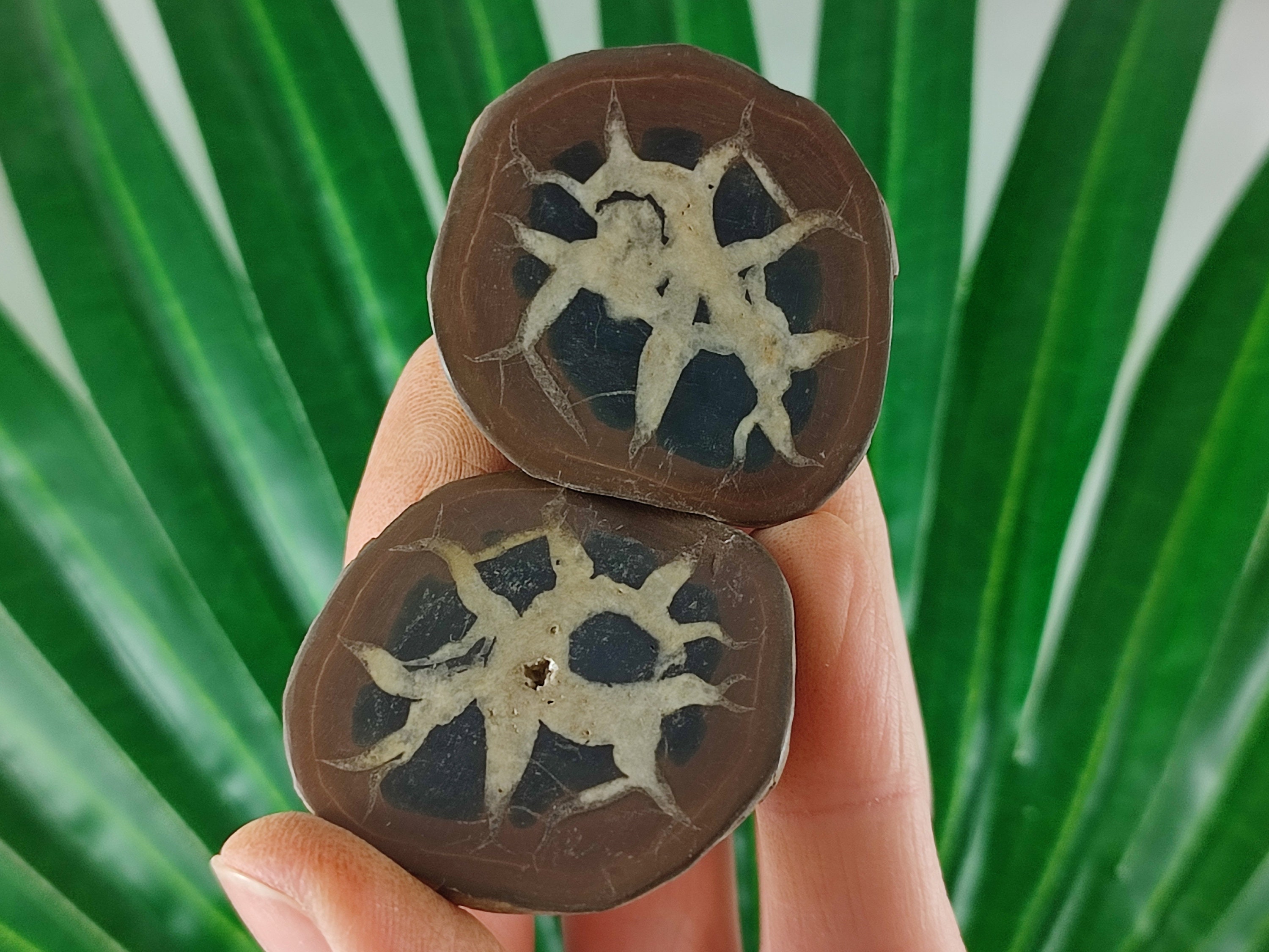 Septarian Nodule Geode: Moroccan Dragonstone Crystal, Home Decor