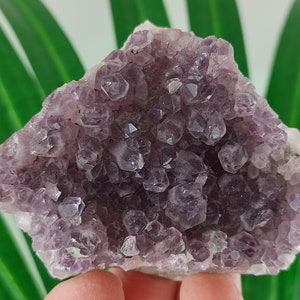 Rare  Amethyst with pyrite from Chala Mine,Spachievo ore field,Mineralni Bani Obshtina,Haskovo Oblast,Bulgaria,Amethyst Cluster,Gem,N54
