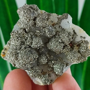 Beautiful Pyrite on Chalcedony from Krushev dol mine,Madan ore field,Rhodope Mts,Smolyan Oblast,Bulgaria,Minerals,Crystals,Specimens,N24