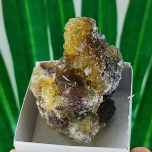 Yellow Fluorite from Spain,Mineral Specimen,Yellow Fluorite,Fluorite from Spain,Collection,Fluorite Collectors,Fluorite,N107
