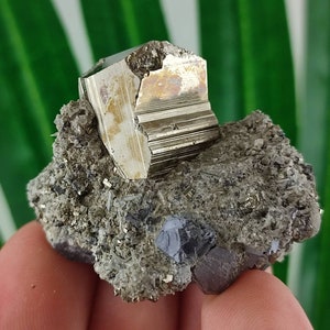 Wonderful Pyrite Crystal from Krushev dol mine,Madan ore field,Rhodope Mts,Smolyan Oblast,Bulgaria,Minerals, Crystals, Gemstone, Gemstone,