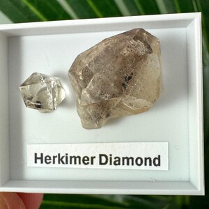 Diamant Herkimer (mini) - Cristal de quartz naturel à double terminaison, Taille du support : 4 x 3,5 cm