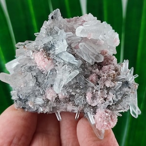Rare Rhodochrosite with Quartz  from Davidkovo ore Filed,Bulgaria,Pink Crystal,Rodochrosite Crystal,Stone,Top Pink color