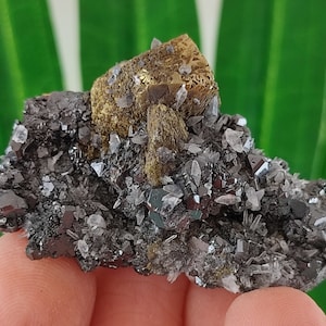 Beautiful Sphalerite with Pyrite and Calcite from Krushev dol mine,Madan ore field,Rhodope Mts,Smolyan Oblast,Bulgaria,MineralN55