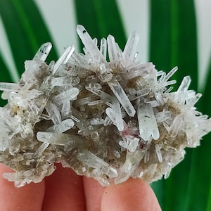 Aesthetic Quartz from Krushev dol  mine,Madan ore field,Rhodope Mts,Smolyan Oblast,Bulgaria,Minerals,Crystals,Gemstone,Gemstones,N30