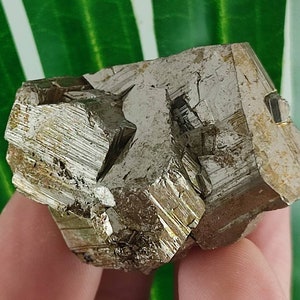 Wonderful Pyrite Crystal from Krushev dol mine,Madan ore field,Rhodope Mts,Smolyan Oblast,Bulgaria,Minerals, Crystals, Gemstone,N12