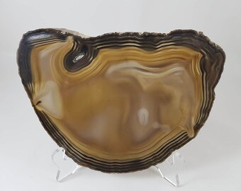 Peut inclure: Une grande tranche d'agate brune avec un centre blanc et des bandes noires. L'agate est sur un support en acrylique transparent.