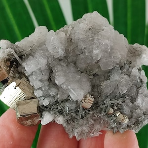 Amazing Golden Pyrite and Calcite from Borieva mine,Madan ore field,Rhodope Mts,Smolyan Oblast, Bulgaria, Minerals,Crystals,Specimens,N15