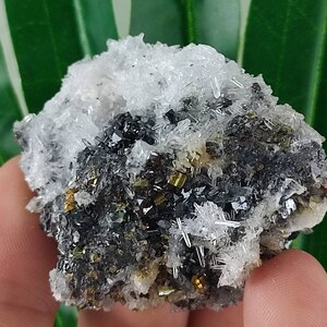 Amazing Sphalerite with Quartz from Krushev dol mine,Madan ore field,Rhodope Mts,Smolyan Oblast,Bulgaria,Minerals,Crystals,Specimens,N41