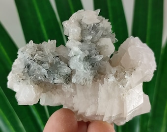Calcite on Quartz  from  Krushev dol mine,Madan ore field,Rhodope Mts,Smolyan Oblast,Bulgaria, Mineral,Crystal,N32