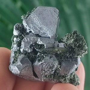 Amazing Galena with Sphalerite from Borieva mine,Madan ore field,Rhodope Mts,Smolyan Oblast,Bulgaria,Minerals,Crystals,Gemstone,Gem,N22