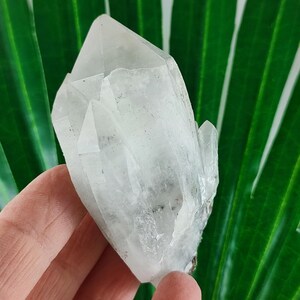 Beautiful Quartz cluster from 9th September mine,Madan ore field,Rhodope Mts,Smolyan Oblast,Bulgaria,Minerals, Crystals,N44