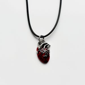 May include: A pendant necklace featuring a detailed, anatomical heart charm. The heart is a deep red color with silver-toned accents, suspended from a black cord. The necklace is displayed against a white background.