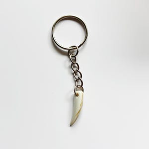 May include: A keychain featuring a silver-toned metal split ring and a short chain attached to a smooth, curved, off-white pendant with subtle tan streaks. The pendant has a tapered, tooth-like shape with a small hole at the top for the jump ring.