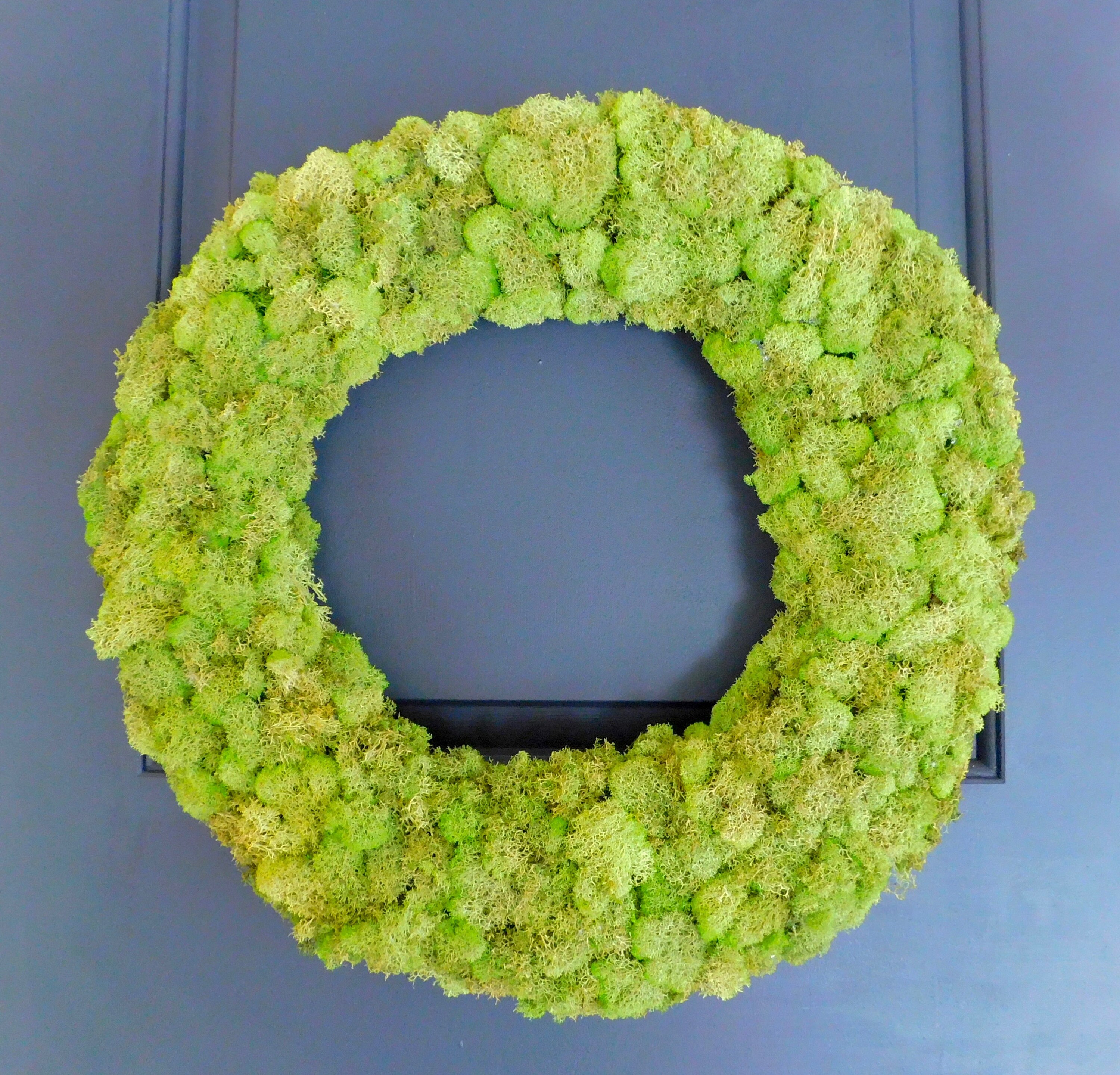 Moss Wreath Natural Wreath Preserved Moss Wreath Green Etsy