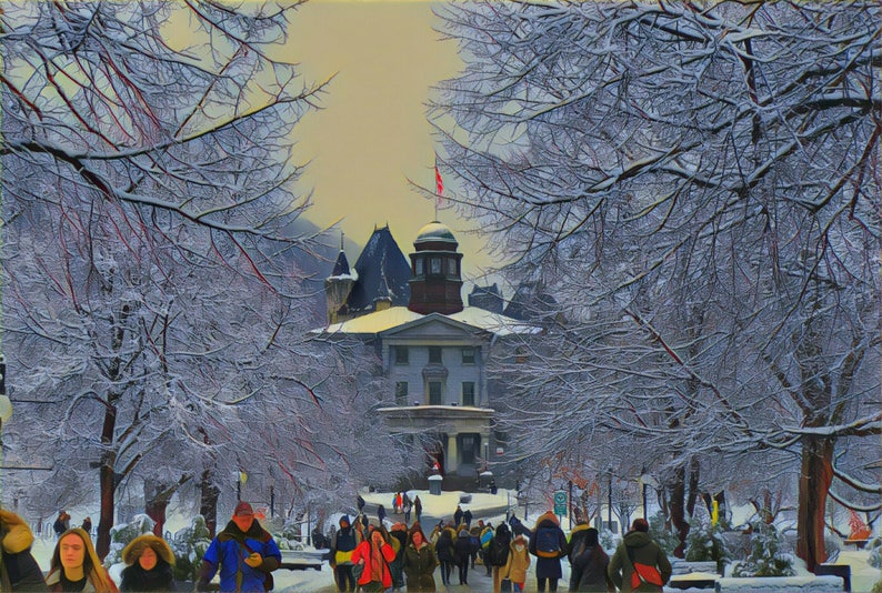 LIMITED EDITION, 'Winter Campus', Montreal Photography, Montreal Print, Art Photography, McGill University Campus, Graduation Gift image 2