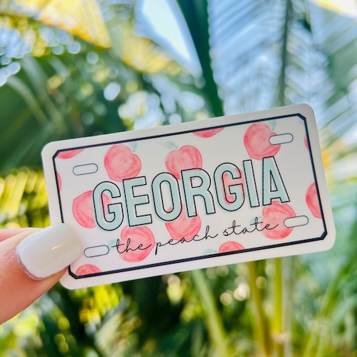 Sticker License Plate Tag Sticker Etsy