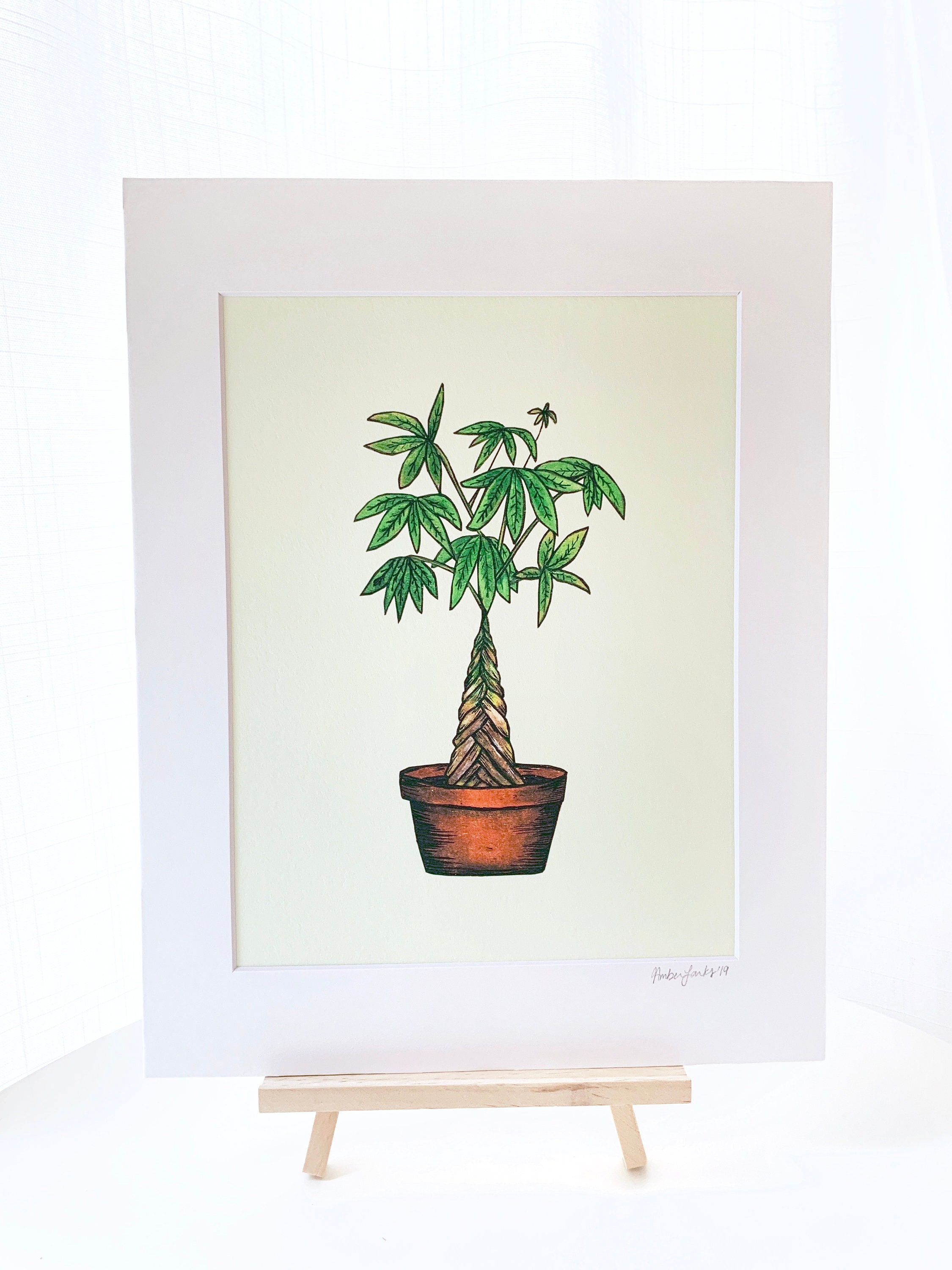 Drawing Plant Sketch, money tree, white, leaf png | PNGEgg