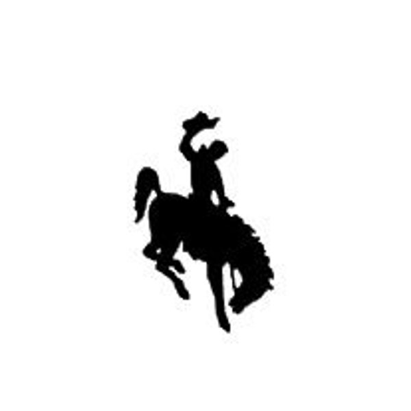 Rodeo Cowboy Horse Nail Decal - Rodeo Nail Decals - Rodeo Nail Art - Cowboy Nail Decals - Cowboy Nail Art - Western Nail Decals - Nail Decal