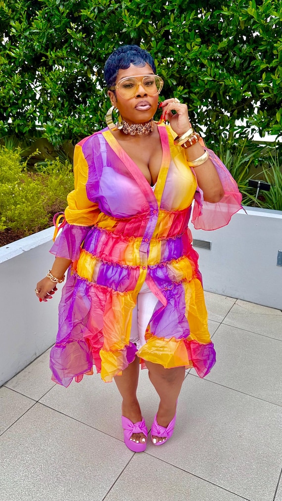 Spring Time  Mesh Shirt Dress