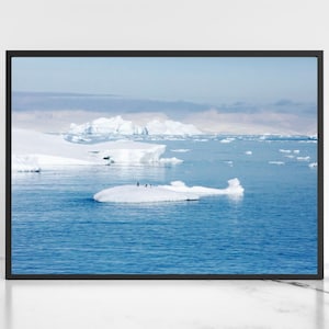 Penguin Photography Digital Antarctica Wall Art  Antarctic Landscape Photography,  Iceberg Glacier Digital Printable Art, Instant Download