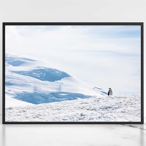 Penguin Print Digital Download Chinstrap Penguin Wall Art Wildlife Photography Antarctica Wildlife Digital Printable Art, Instant Download