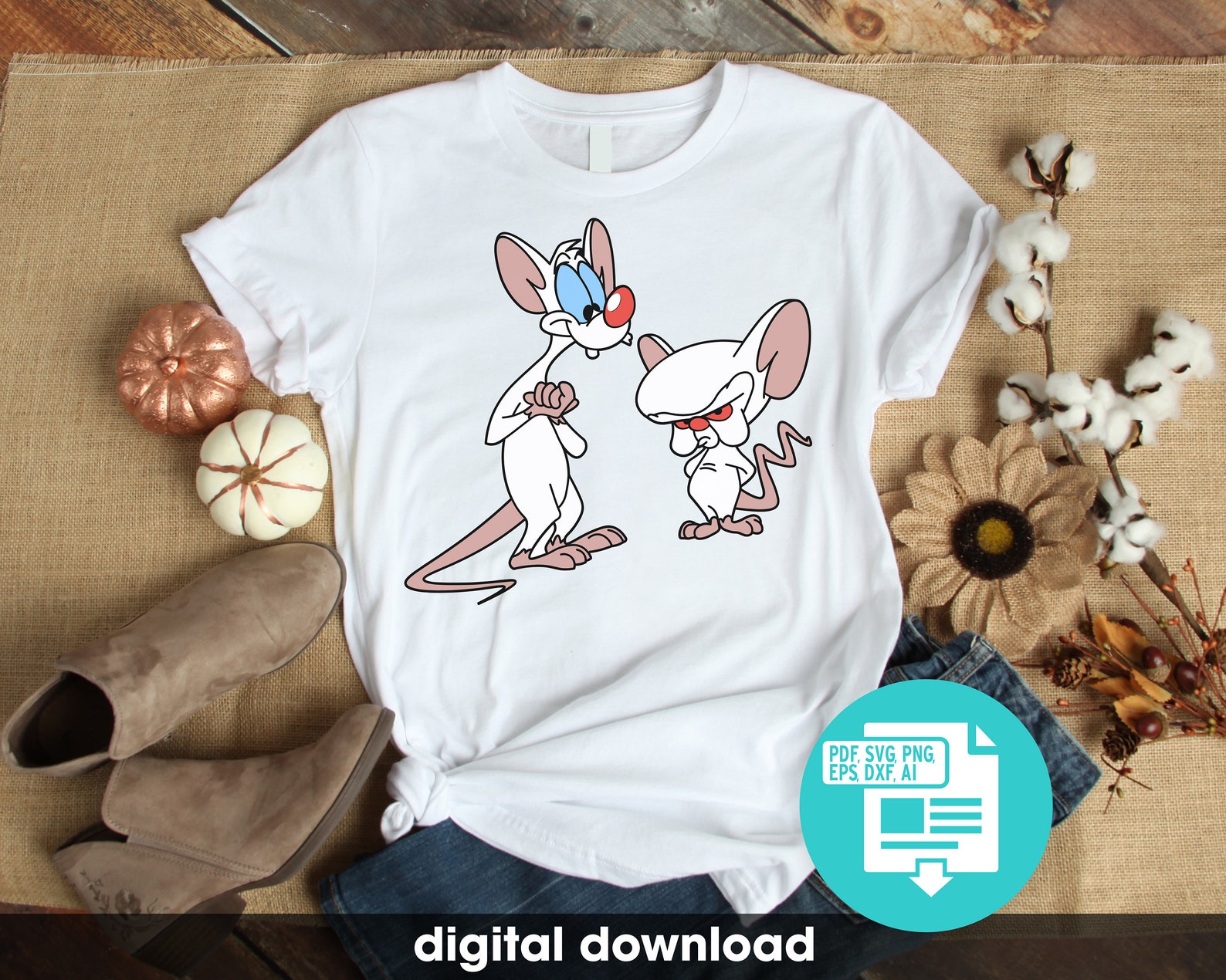 Pinky and the Brain, 90s Cartoons Trendy Digital Download, Svg, Png ...