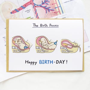 Cartão postal de parto e parto, cartão de aniversário científico, cartão de aniversário de biologia, anatomia, recém-nascido, pediátrico, enfermeira pediátrica, médico, médico