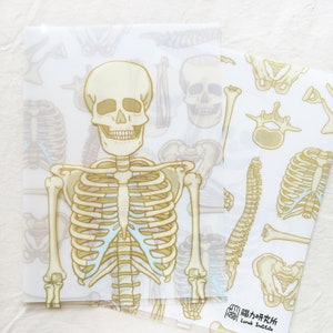 Bone A4 folder, skeleton folder, orthopedic surgeon gift, orthopedic,orthopedic gift,orthopedic nurse,gift for doctor,gift for nurse