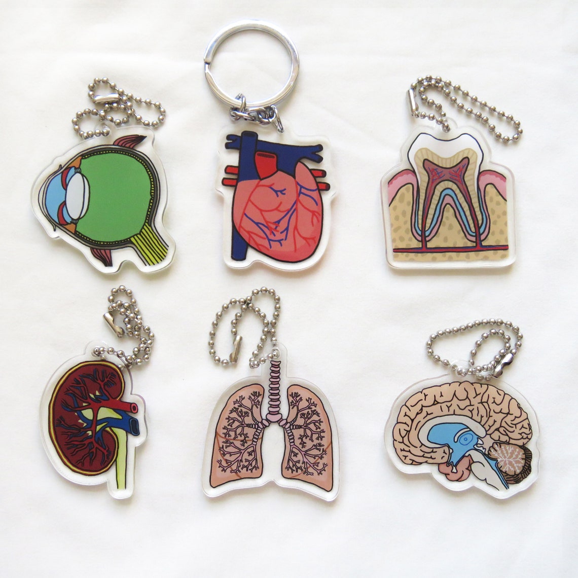 Heart Keychain internal organ keychain science keychain Etsy