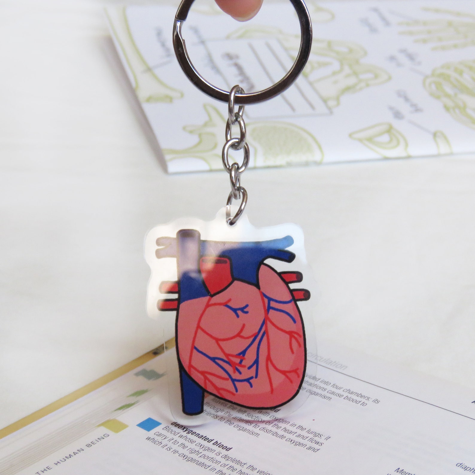 Heart Keychain internal organ keychain science keychain Etsy