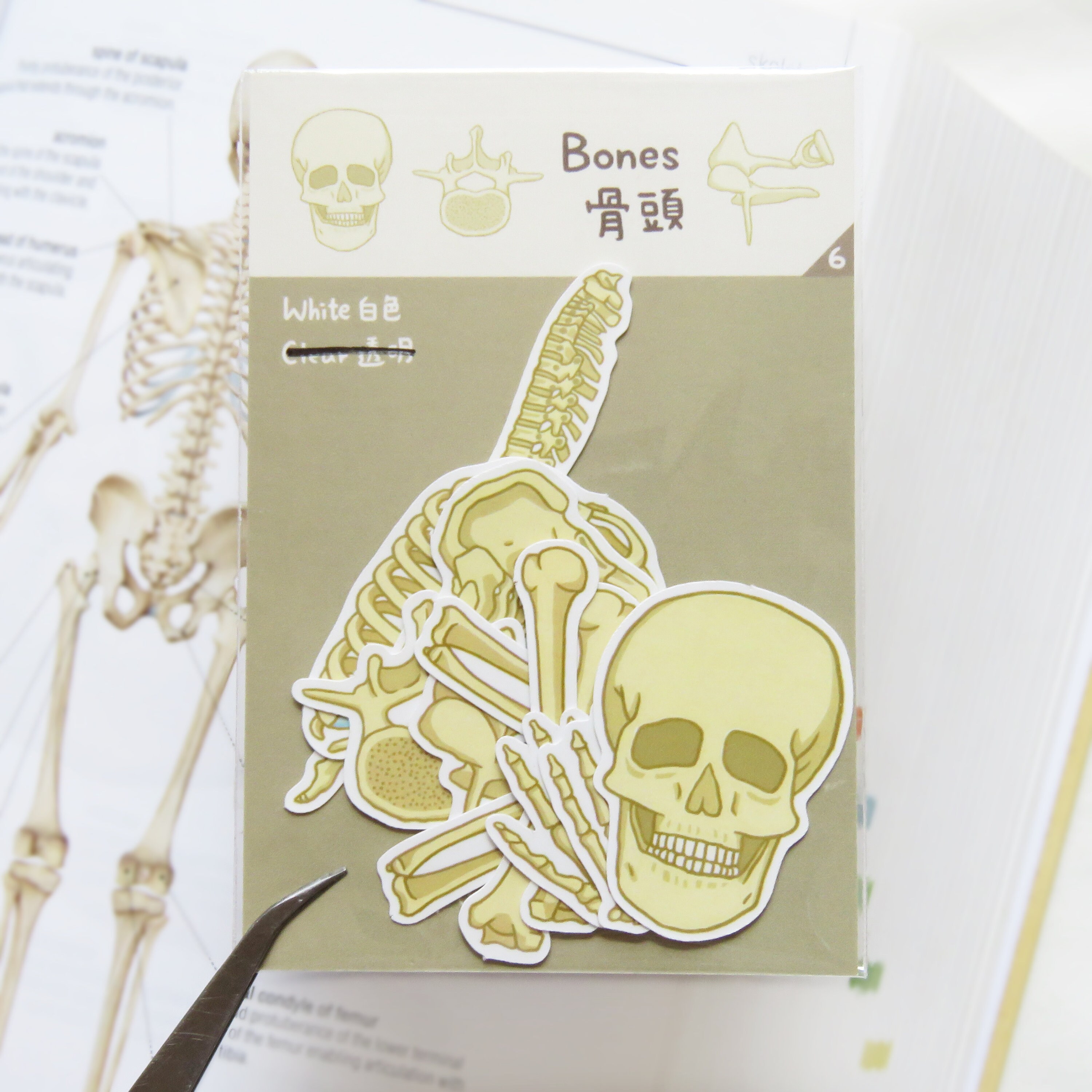 Bone Inlay Sticker Bone Sticker Set (12 Pcs), Skeleton Sticker for Laptop,skeleton Sticker ...