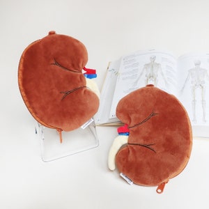 Kidney Pouch, Organ Pouch, anatomy totebag, gift for nurse, gift for doctor, biology gift