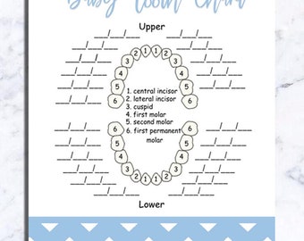 Baby Teeth Chart For Baby Book