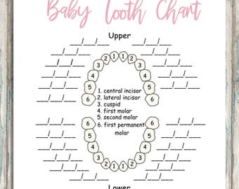 Teeth Number Chart For Adults