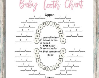 Tooth Number Chart