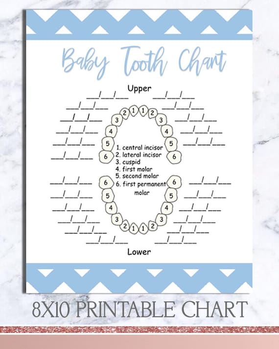 Teeth Chart - PRINTABLE - Baby book pages