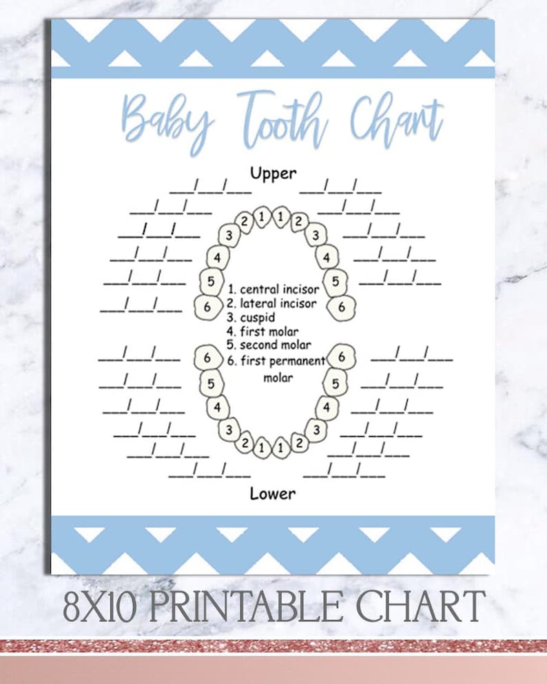 Enamel Chart - PRINTABLE - Boy or girl reserve webpages photograph relating to Baby Book Printable named Enamel Chart - PRINTABLE - Youngster e book internet pages