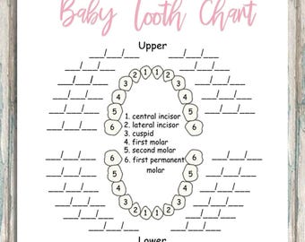 Baby Tooth Chart - INSTANT DOWNLOAD - Baby Book Pages - Custom order for ANY color & gender