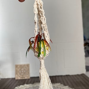 Puede incluir: Un macetero de macramé blanco con una pequeña maceta amarilla y una planta verde y roja en su interior. El macetero tiene un borla en la parte inferior.