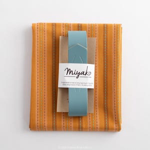 Furoshiki Bag Kit with Fableism Stitch Stripes in Rust